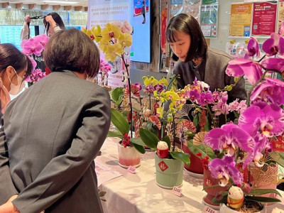 澳娛綜合新春送暖 舉辦多場活動惠及不同社群
