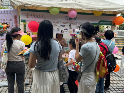「2025澳娛綜合澳門國際龍舟賽」 豐富節慶文化 助力中小企拓商機